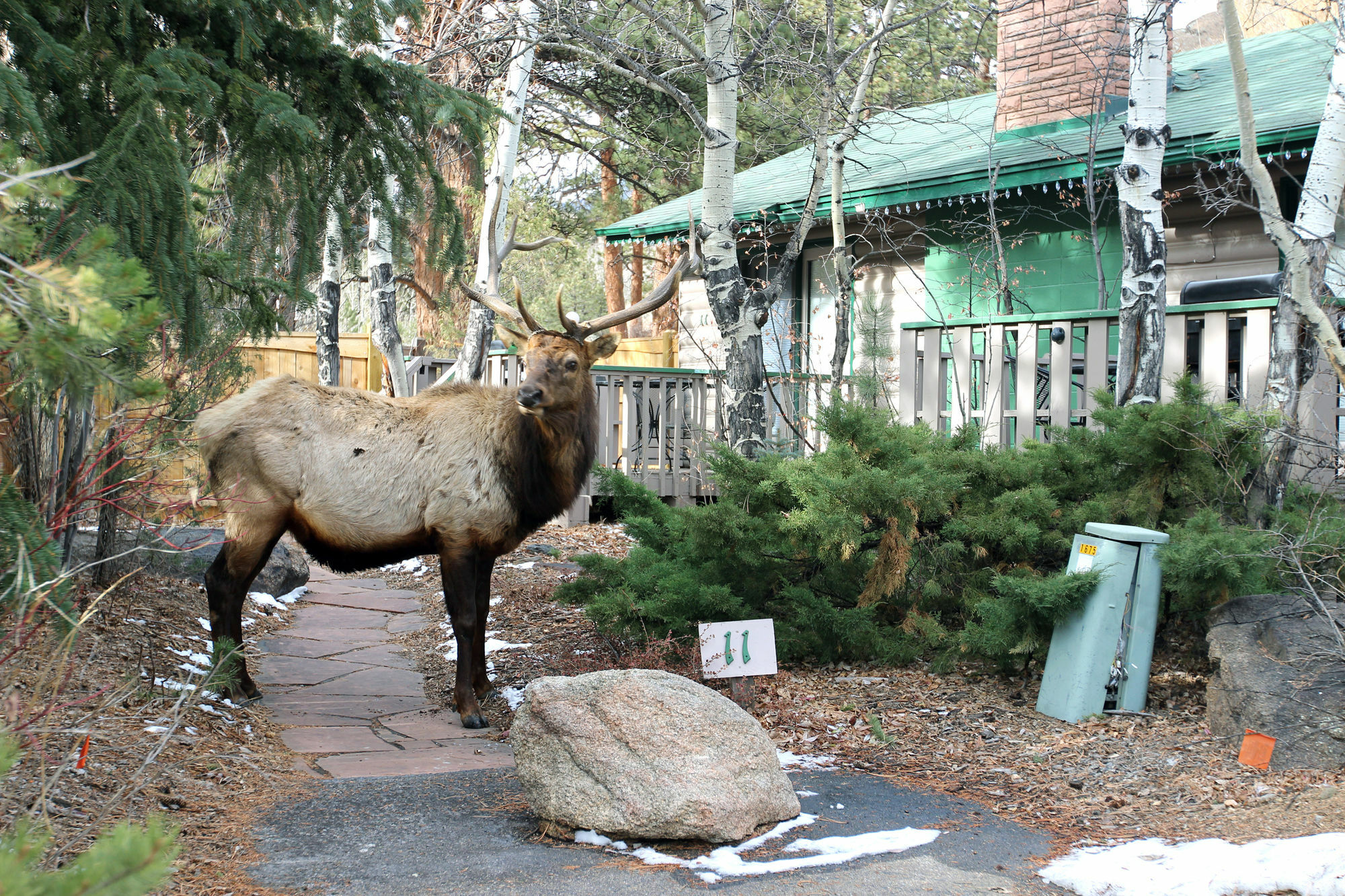 Sunnyside Knoll Resort Estes Park Esterno foto